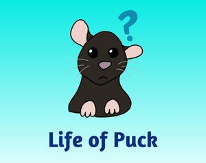 play Life Of Puck