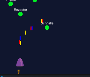 play German Preposition Trainer