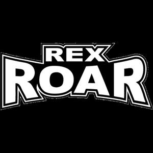 Rex Roar: Welcome To The Metablocks