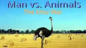 play Man Vs. Animals: The Emu War