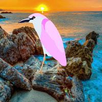 play Big-Woodpecker Escape From Island Html5