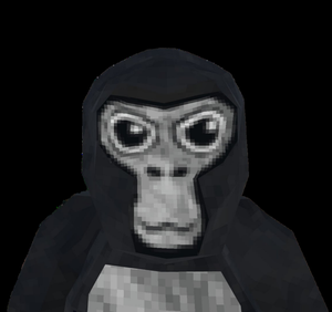 play Gorilla Tag Colour Code Randomizer