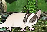 play Escape Game Rescue The Baby Squirrels