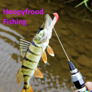 play Hoopyfrood Fishing