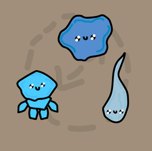 play Transformation