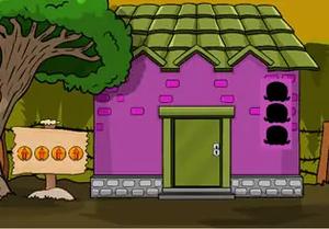 play Columbidae Escape