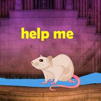 play Big-Assist The White Rat Html5