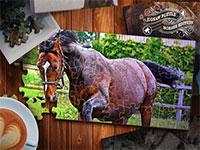 Jigsaw Puzzle Horses Edition