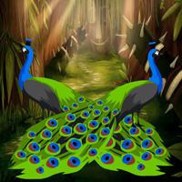 play Wow-Beautiful Peacock Love Couple Rescue Html5