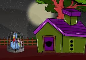 play Ocellated Turkey Escape