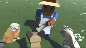 play Feed