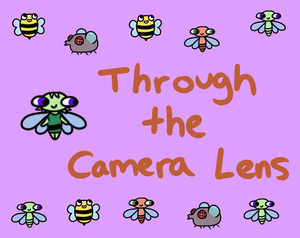 play Through The Camera Lens