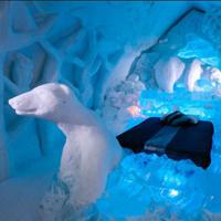 play Wow-Escape From Snow Crystal Hotel Html5