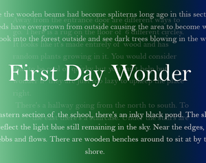 play First Day Wonder