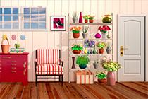 play Flower Shed Escape