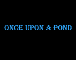 play Once Upon A Pond