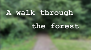 play A Walk Through The Forest