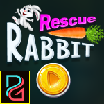 play Pg Rescue Rabbit