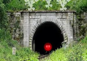 play Tunnel Arch Woodland Escape