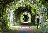 play Tunnel Arch Woodland Escape