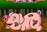 play Room Escape Rescue The Baby Pig