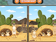 Spot 5 Differences Deserts