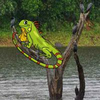 play Escape From Iguana Forest Html5