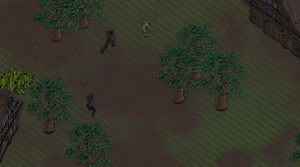 play Fsm Simulation