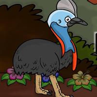 play G2J-Cassowaries-Bird-Escape