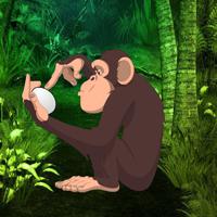 play Rescue The Sparrow Egg 02 Html5