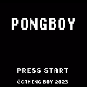 play Pong Boy