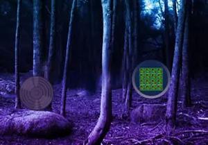 play Enchanted Dark Jungle Escape