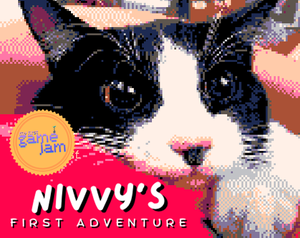 play Nivvy'S First Adventure