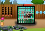 play Escape Games Funny Ostrich Rescue