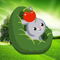 play Wow-Rescue The Sparrow Egg 04 Html5