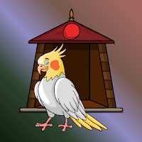 play Fg Rescue The Cockatiel Bird From Cage