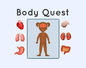 play Body Quest