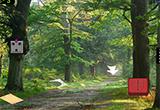 play Desolate Forest Escape