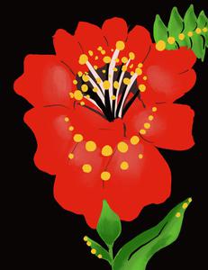 play Heartsick For Poppies