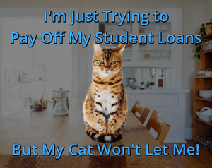 play I'M Just Trying To Pay Off My Student Loans But My Cat Won'T Let Me