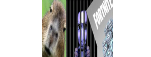 play Capybara Run