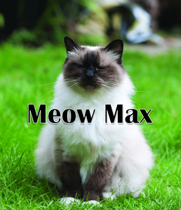 play Meow Max