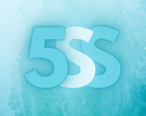 play The 5-Second Simulation