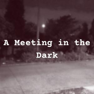 play A Meeting In The Dark