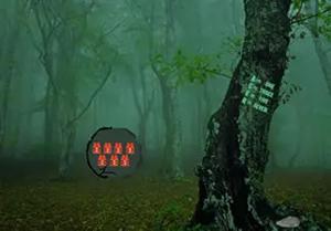 play Soothing Mist Forest Escape