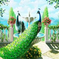 play Big-Save The Peacock Dragon Html5