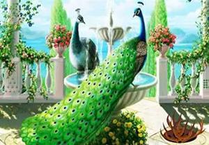 play Save The Peacock Dragon