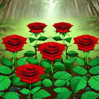 play G2R-Dreamy Rose Wonderland Escape Html5