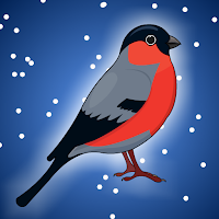 play Fg Bullfinch Bird Escape