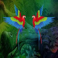 play Big-Aid The Couple Macaw Html5